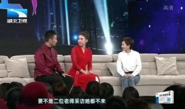 爆料大王媳妇视频播放全集,一场家庭风波的真相大曝光