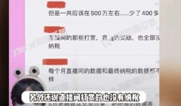 明星偷税爆料事件真相视频